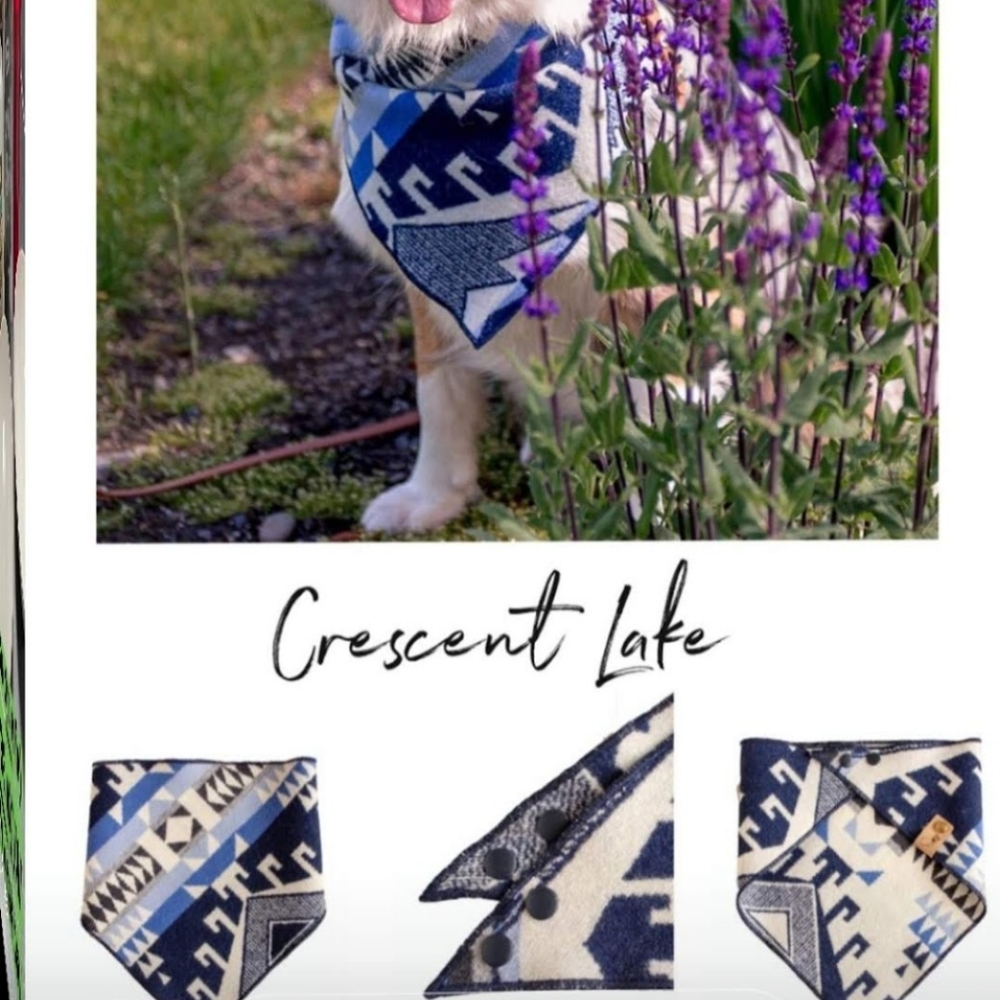 Sockthief crescent lake pendleton print dog hankerchief